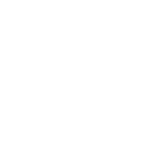 An icon of a building with a flag flying on top.