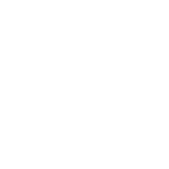 An icon of a megaphone.